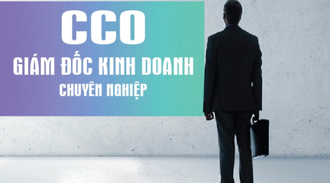 CCO-Giám đốc kinh doanh chuyên nghiệp
